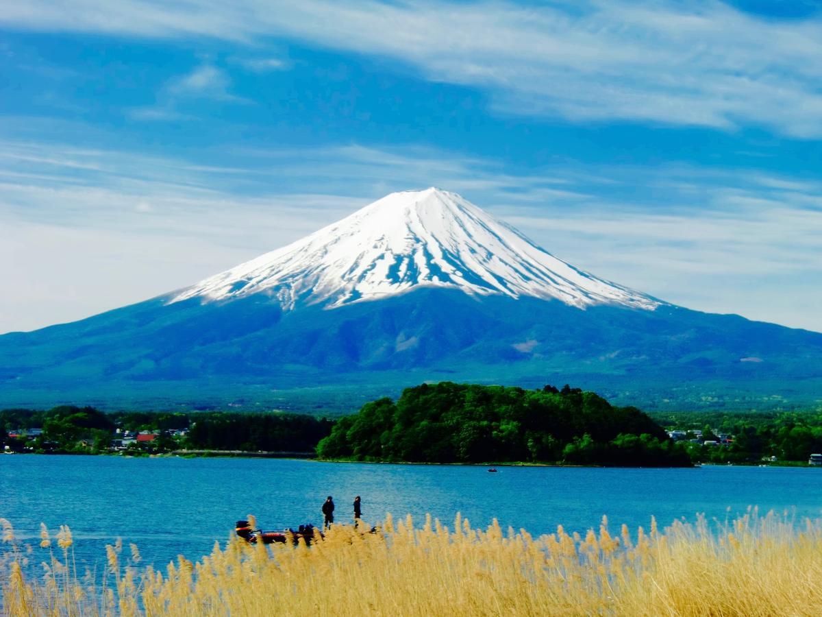 Mt Fuji Cat&Dog&Spa Pension Blue Poppy Фудзикавагутико Экстерьер фото