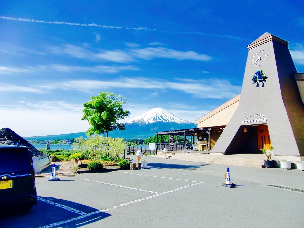 Mt Fuji Cat&Dog&Spa Pension Blue Poppy Фудзикавагутико Экстерьер фото