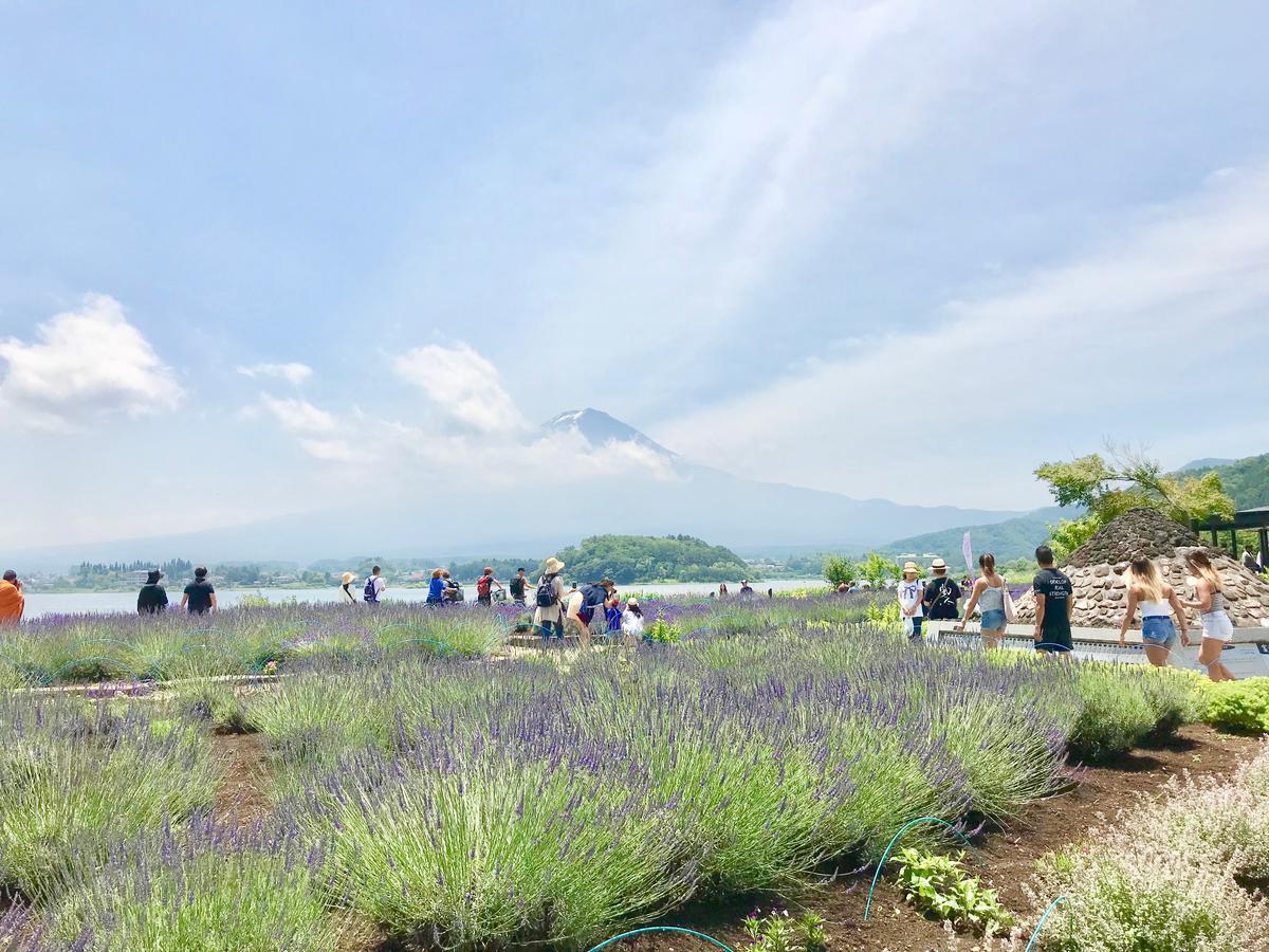 Mt Fuji Cat&Dog&Spa Pension Blue Poppy Фудзикавагутико Экстерьер фото