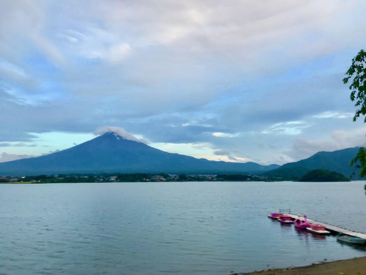 Mt Fuji Cat&Dog&Spa Pension Blue Poppy Фудзикавагутико Экстерьер фото