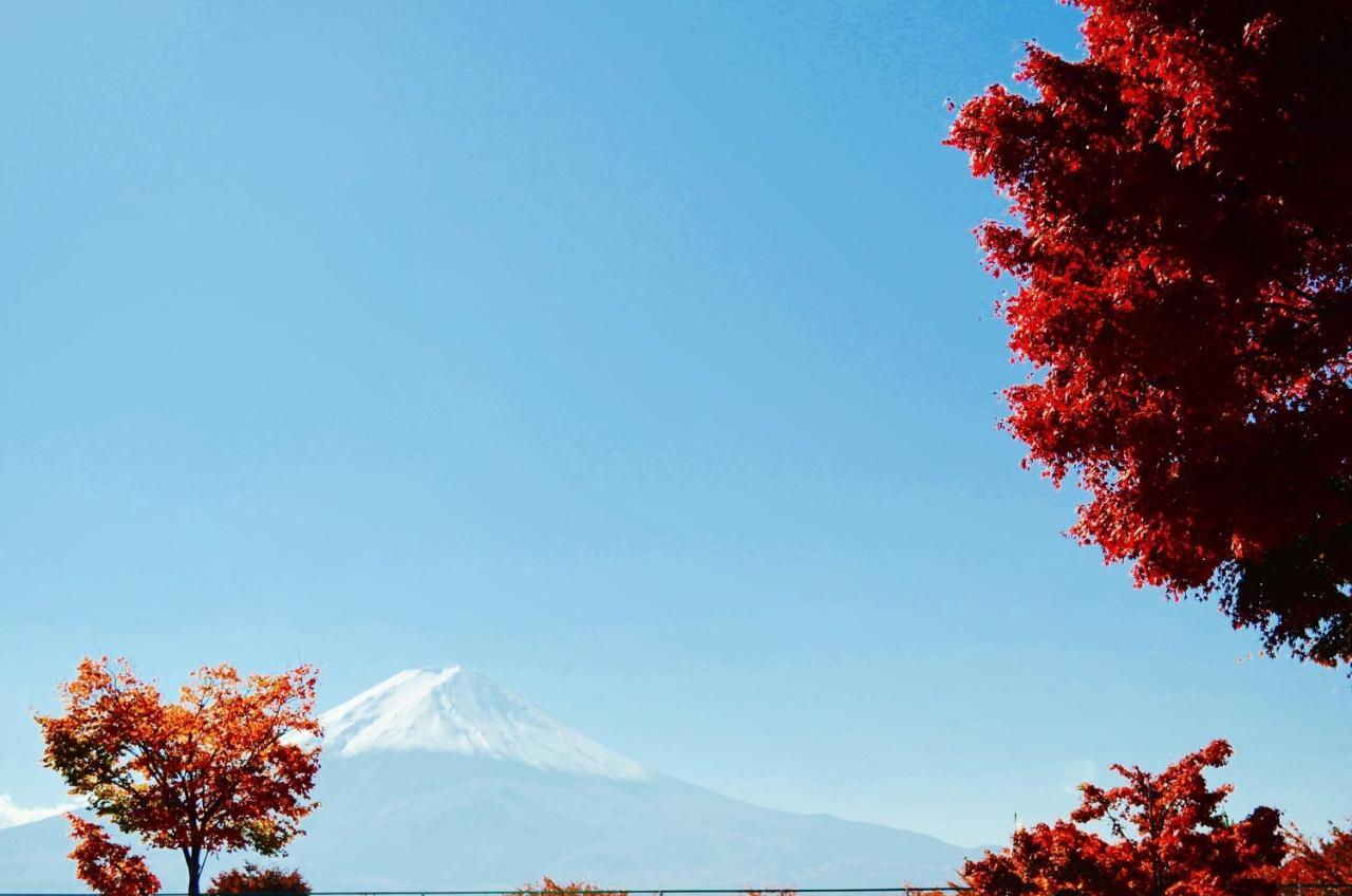 Mt Fuji Cat&Dog&Spa Pension Blue Poppy Фудзикавагутико Экстерьер фото