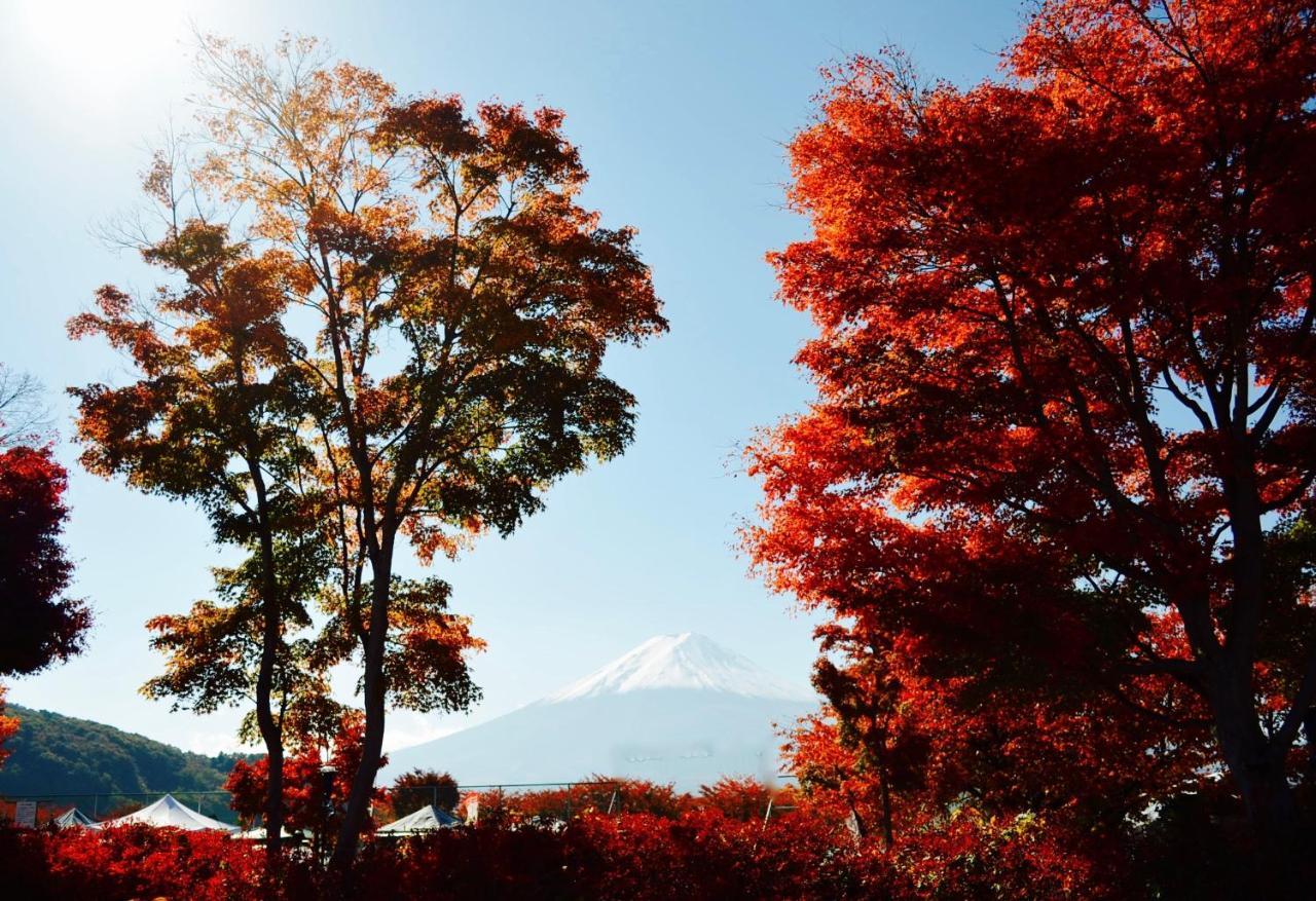 Mt Fuji Cat&Dog&Spa Pension Blue Poppy Фудзикавагутико Экстерьер фото