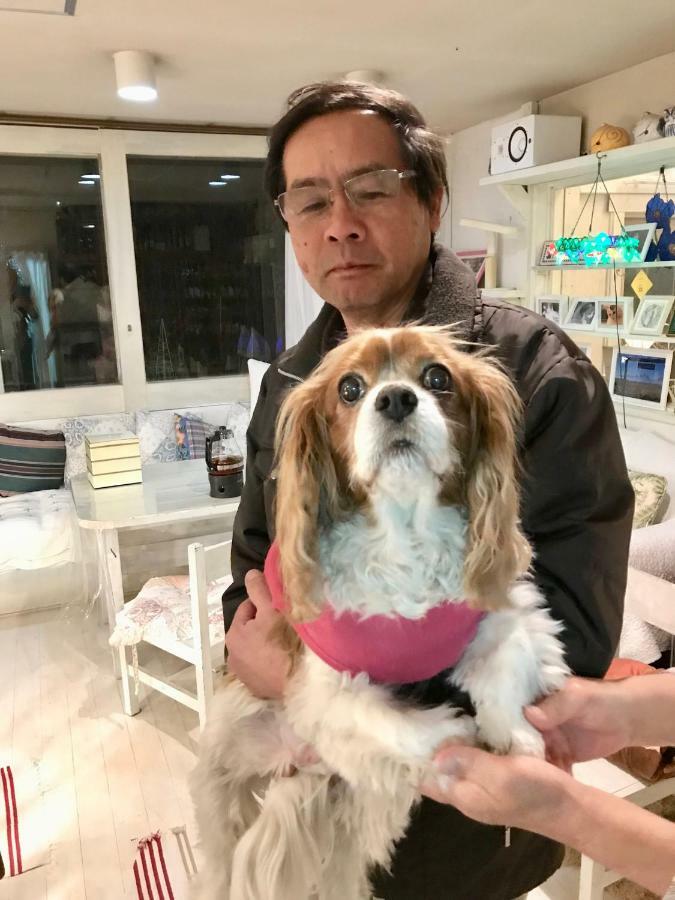 Mt Fuji Cat&Dog&Spa Pension Blue Poppy Фудзикавагутико Экстерьер фото
