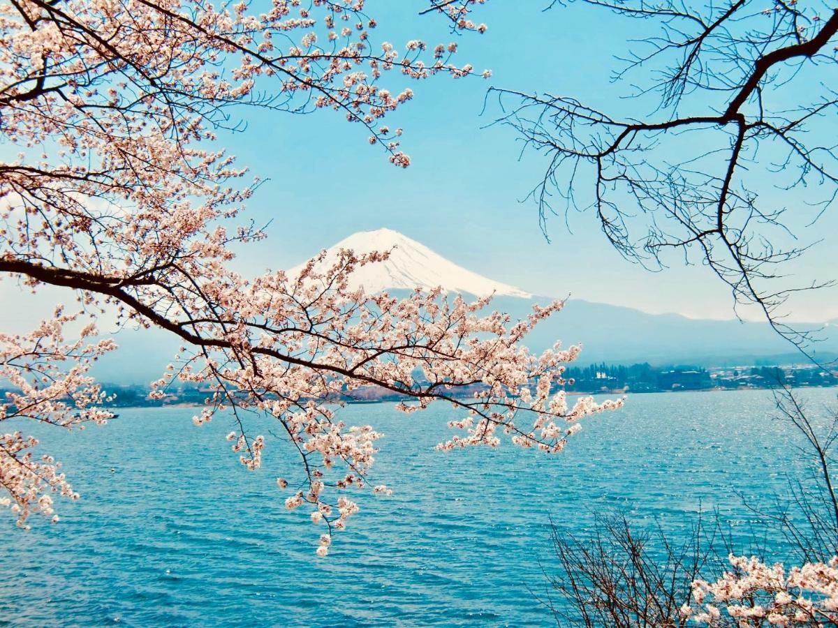 Mt Fuji Cat&Dog&Spa Pension Blue Poppy Фудзикавагутико Экстерьер фото