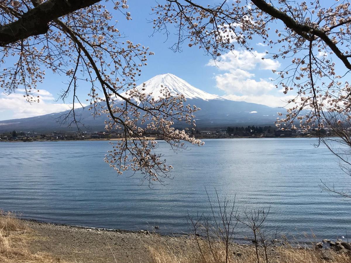 Mt Fuji Cat&Dog&Spa Pension Blue Poppy Фудзикавагутико Экстерьер фото